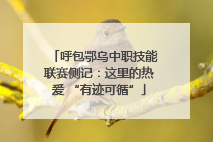 呼包鄂乌中职技能联赛侧记：这里的热爱 “有迹可循”