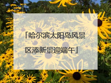 哈尔滨太阳岛风景区添新景迎端午