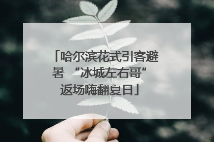 哈尔滨花式引客避暑 “冰城左右哥”返场嗨翻夏日
