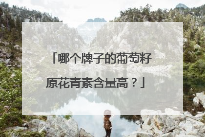 哪个牌子的葡萄籽原花青素含量高？