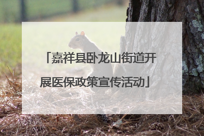 嘉祥县卧龙山街道开展医保政策宣传活动