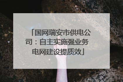 国网瑞安市供电公司：自主实施强业务 电网建设提质效