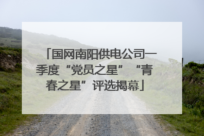 国网南阳供电公司一季度“党员之星”“青春之星”评选揭幕