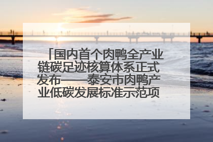 国内首个肉鸭全产业链碳足迹核算体系正式发布——泰安市肉鸭产业低碳发展标准示范项目顺利通过验收