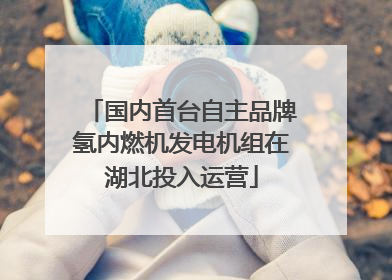 国内首台自主品牌氢内燃机发电机组在湖北投入运营