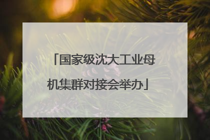 国家级沈大工业母机集群对接会举办