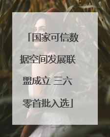 国家可信数据空间发展联盟成立 三六零首批入选