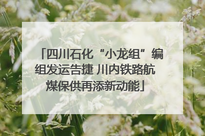 四川石化“小龙组”编组发运告捷 川内铁路航煤保供再添新动能