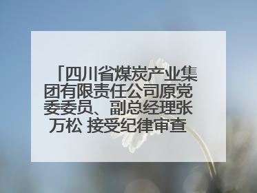 四川省煤炭产业集团有限责任公司原党委委员、副总经理张万松 接受纪律审查和监察调查