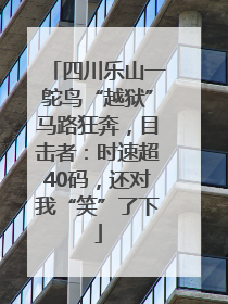 四川乐山一鸵鸟“越狱”马路狂奔，目击者：时速超40码，还对我“笑”了下
