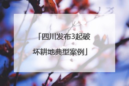 四川发布3起破坏耕地典型案例