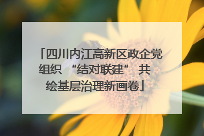 四川内江高新区政企党组织 “结对联建” 共绘基层治理新画卷