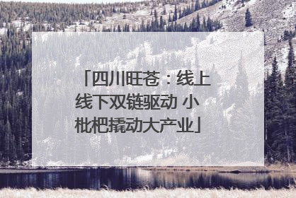 四川旺苍：线上线下双链驱动 小枇杷撬动大产业
