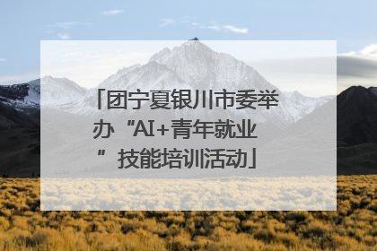 团宁夏银川市委举办“AI+青年就业”技能培训活动
