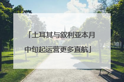 土耳其与叙利亚本月中旬起运营更多直航