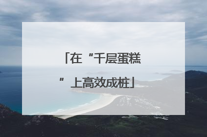 在“千层蛋糕”上高效成桩