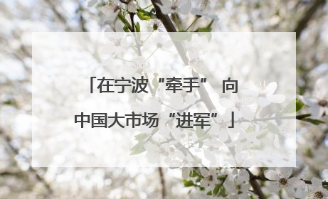 在宁波“牵手” 向中国大市场“进军”