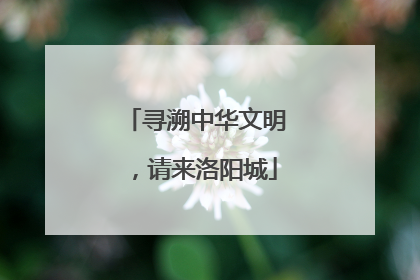 寻溯中华文明，请来洛阳城