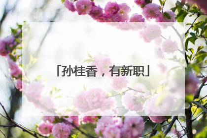 孙桂香，有新职