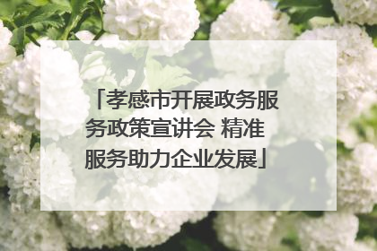 孝感市开展政务服务政策宣讲会 精准服务助力企业发展