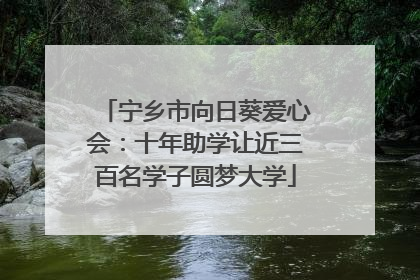 宁乡市向日葵爱心会：十年助学让近三百名学子圆梦大学