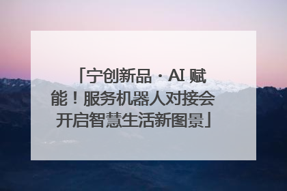 宁创新品・AI 赋能！服务机器人对接会开启智慧生活新图景
