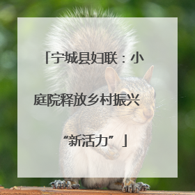 宁城县妇联：小庭院释放乡村振兴“新活力”