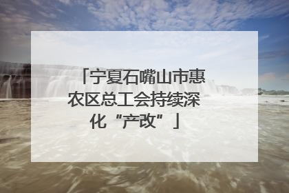 宁夏石嘴山市惠农区总工会持续深化“产改”