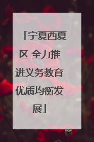 宁夏西夏区 全力推进义务教育优质均衡发展