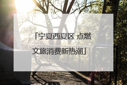 宁夏西夏区 点燃文旅消费新热潮