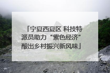 宁夏西夏区 科技特派员助力“紫色经济”酿出乡村振兴新风味