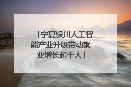 宁夏银川人工智能产业升级带动就业增长超千人