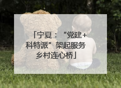 宁夏：“党建+科特派”架起服务乡村连心桥
