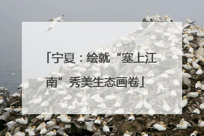 宁夏：绘就“塞上江南”秀美生态画卷