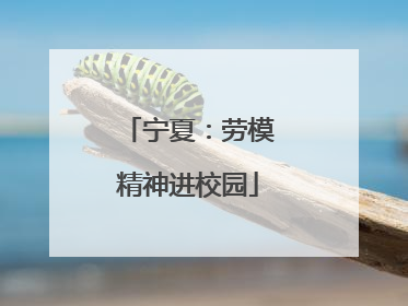宁夏：劳模精神进校园