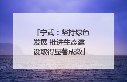 宁武：坚持绿色发展 推进生态建设取得显著成效