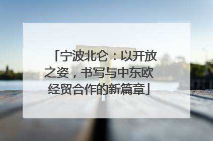 宁波北仑：以开放之姿，书写与中东欧经贸合作的新篇章
