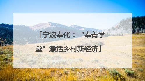 宁波奉化：“奉菁学堂”激活乡村新经济