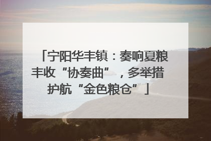 宁阳华丰镇：奏响夏粮丰收“协奏曲”，多举措护航“金色粮仓”