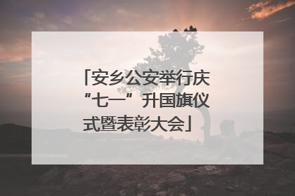 安乡公安举行庆“七一”升国旗仪式暨表彰大会