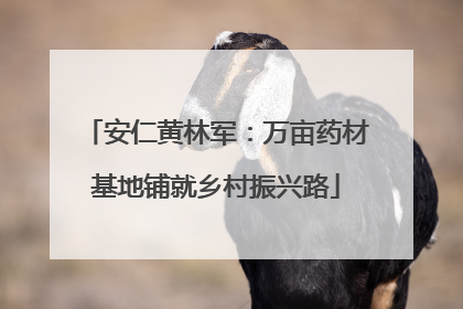 安仁黄林军：万亩药材基地铺就乡村振兴路