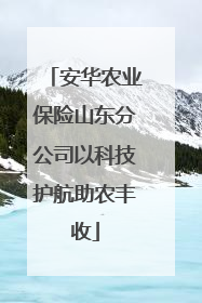 安华农业保险山东分公司以科技护航助农丰收