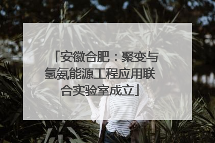 安徽合肥：聚变与氢氨能源工程应用联合实验室成立
