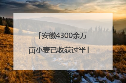 安徽4300余万亩小麦已收获过半