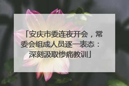 安庆市委连夜开会，常委会组成人员逐一表态：深刻汲取惨痛教训