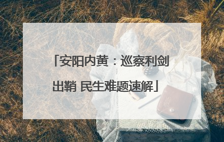 安阳内黄：巡察利剑出鞘 民生难题速解