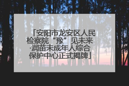 安阳市龙安区人民检察院“豫”见未来·润苗未成年人综合保护中心正式揭牌