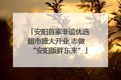 安阳首家非遗优选超市盛大开业 志做“安阳版胖东来”