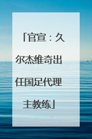 官宣：久尔杰维奇出任国足代理主教练