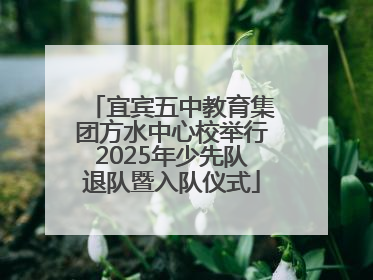 宜宾五中教育集团方水中心校举行2025年少先队退队暨入队仪式